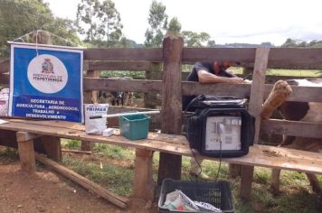 Programa “Mais Pecuária Brasil” inicia ciclo de trabalhos técnicos em propriedades rurais de Itapetininga