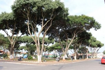 Mais de 600 podas de árvores são realizadas pela prefeitura em bairros de Itapetininga