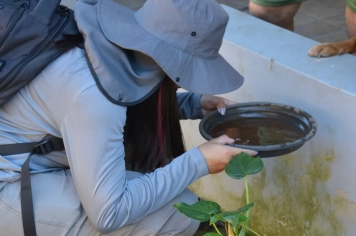 Itapetininga registra queda de 97% nos casos de dengue no 1º trimestre de 2026