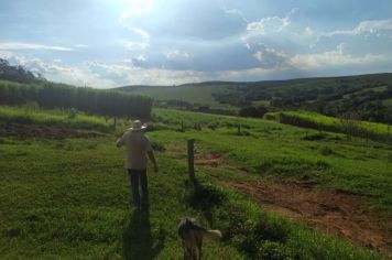 Itapetininga integra Programa “+ Pecuária Brasil” com foco na agropecuária familiar