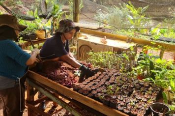 Viveiro Municipal de Itapetininga oferece visitas às escolas com foco na Educação Ambiental