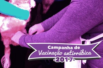 Vacinação antirrábica na Vila Rio Branco