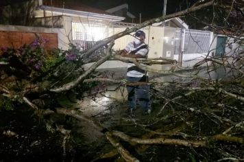 Defesa Civil trabalha para atender emergências devido a forte chuva