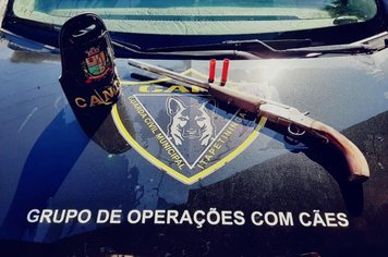 Equipe do Canil da Guarda Civil Municipal apreende arma durante patrulhamento no Rechã