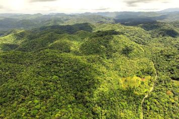 Secretaria do Meio Ambiente elabora Plano de Recuperação e Conservação da Mata Atlântica e Cerrado de Itapetininga