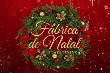 Fábrica de Natal com várias atrações em Itapetininga