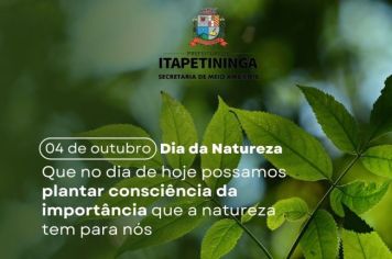 Dia 4 de Outubro é comemorado o Dia da Natureza: momento de plantar a consciência de sua importância