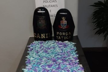 Canil da GCM localiza mais de 1000 porções de cocaína em apoio à Força Tática da PM