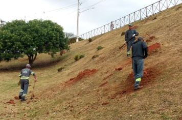 Prefeitura de Itapetininga realiza, diariamente, varrição e roçada nos bairros; confira os locais