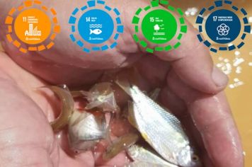 Sabesp e Prefeitura realizam a soltura de mais de 7 mil filhotes de peixes em Itapetininga em comemoração ao Dia Mundial da Água