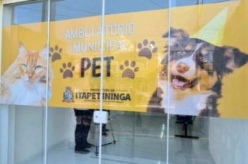 Dia Nacional dos Animais é marcado por aumento de 15% nos atendimentos do “Ambulatório Pet” em Itapetininga