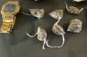 GCM prende dois suspeitos com drogas perto de escolas no centro