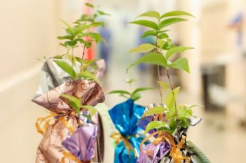 No Dia da Árvore, Prefeitura de Itapetininga lança projeto “Plantando o Futuro” que faz doação de mudas para recém-nascidos 