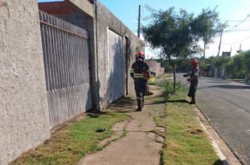 Secretaria de Serviços Públicos de Itapetininga faz  limpeza e roçada no centro e nos bairros da cidade nesta quinta-feira, dia 9