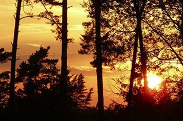 Meio Ambiente realiza reunião com CPFL Energia