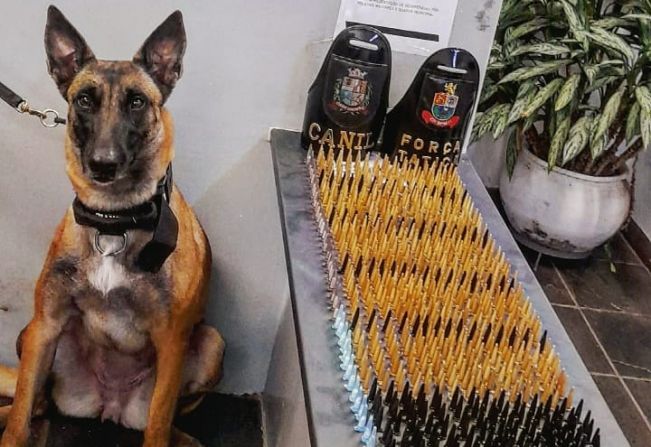 Operação Itapê + Segura apreende 1000 porções de cocaína e detém um suspeito em flagrante por tráfico 