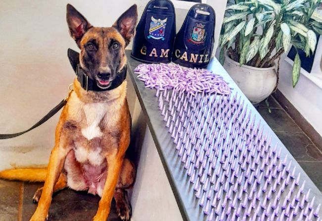 Equipes da Guarda Civil Municipal faz a maior apreensão de cocaína