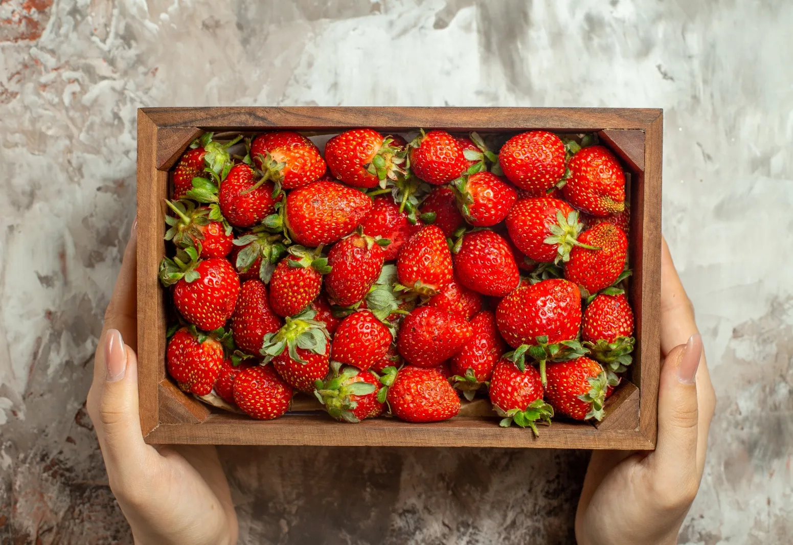 Pré-inscrições abertas: Programa ‘Morango Orgânico’ terá duas turmas em Itapetininga