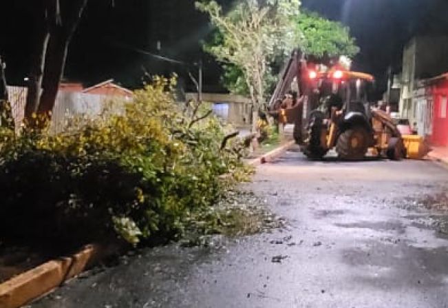  PREFEITURA DE ITAPETININGA REALIZA CORTE E PODA DE ÁRVORES EM PRAÇAS DA CIDADE