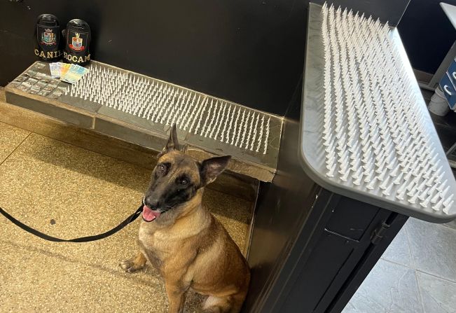 Ação da Polícia Militar com apoio da GCM apreende adolescente com quase 1.000 porções de drogas na Vila Arruda