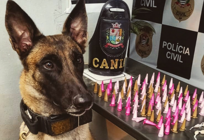  Guarda Municipal apreende menor por tráfico de drogas na vila Regina