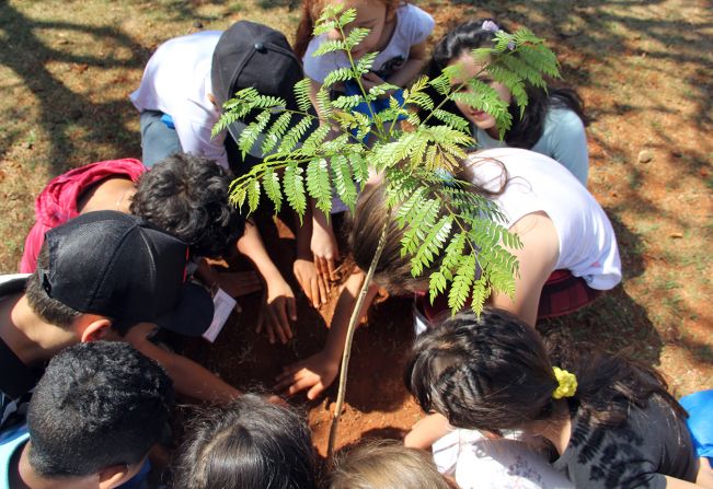“Abraço no Paço Municipal” e “Projeto Arborização + Segura” marcam o Dia da Árvore 