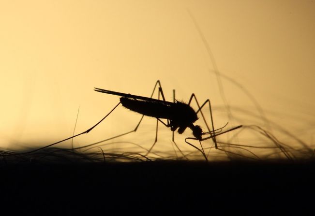 Itapetininga contra a dengue