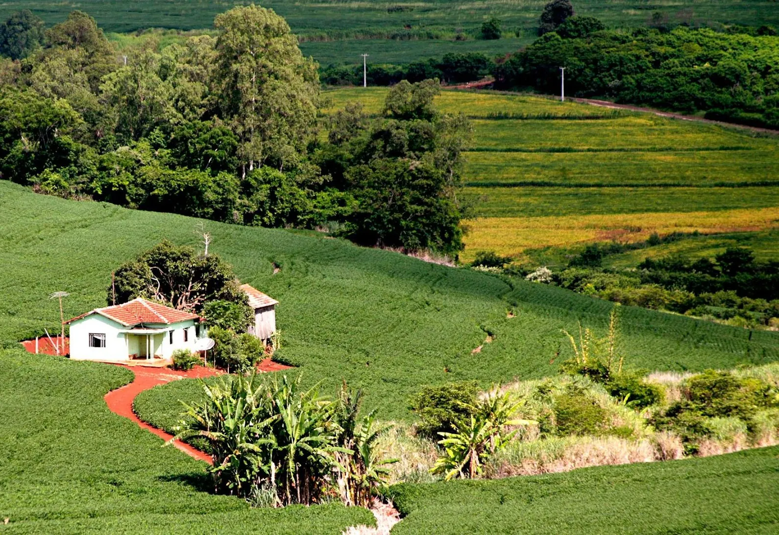 Prefeitura de Itapetininga informa sobre a emissão do Certificado de Cadastro de Imóvel Rural (CCIR) 2026