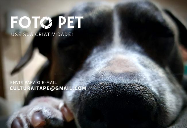 Secretaria de Cultura de Itapetininga lança “Foto Pet” para fotógrafos amadores e profissionais
