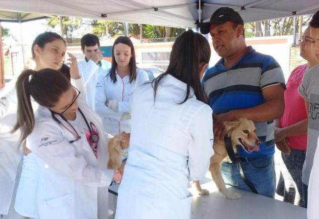 Cães e gatos passam por avaliação veterinária e são vacinados na campanha contra a raiva no Bela Vista
