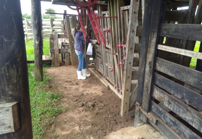 Visitas técnicas de capacitação sobre produção leiteira no Turvo dos Rodrigues