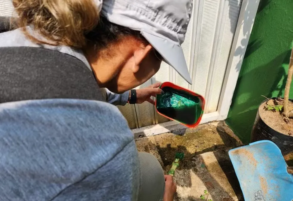 Itapetininga registra queda de 83% nos casos de dengue em janeiro