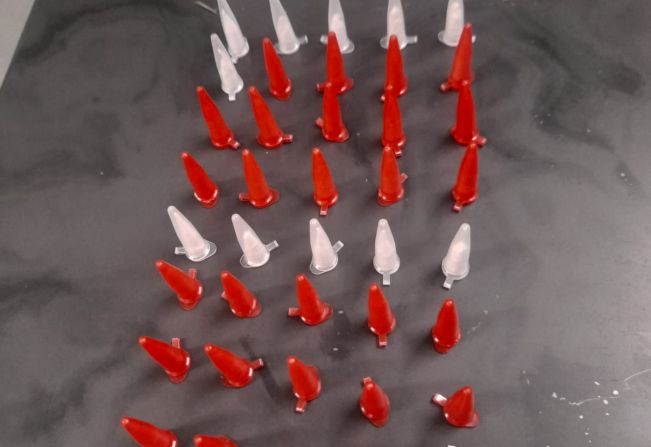 GCM prende homem com crack e cocaína perto de escola municipal 