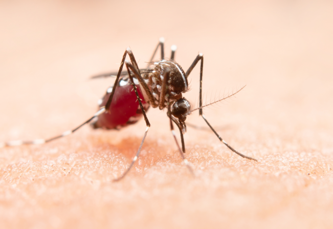 Vigilância Epidemiológica realiza ações de conscientização sobre a dengue em escolas e condomínios