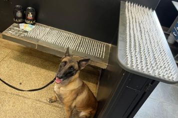 Ação da Polícia Militar com apoio da GCM apreende adolescente com quase 1.000 porções de drogas na Vila Arruda