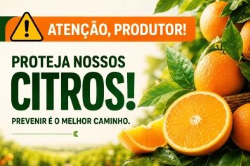 Secretaria da Agricultura alerta produtores sobre prevenção das doenças dos citros