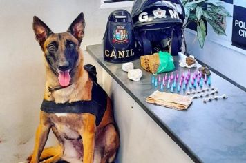 Operação “Itapê + Segura” apreende jovem e localiza drogas na Vila Palmeira