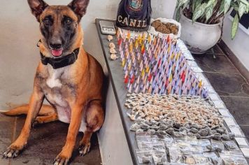 Operação Itapê + Segura detém suspeito de tráfico e apreende mais de 500 porções de drogas em Itapetininga