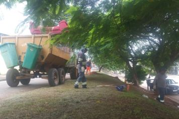 Secretaria de Serviços Municipais realiza manutenção da área urbana e rural de Itapetininga