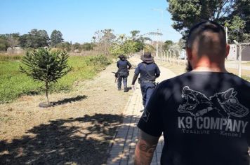 Treinamento de Canil da Guarda Civil Municipal é realizado na Lagoa Regina Freire