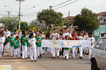 Sensibilização ambiental e atividades marcam a Semana do Meio Ambiente