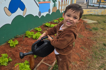 Projeto Horta da EMEI “Cacilda de Andrade Nery”