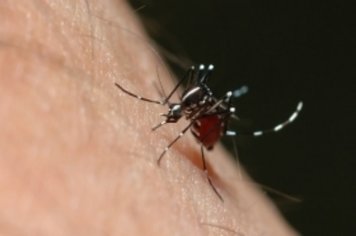 Prefeitura realiza arrastão contra Dengue em vários bairros