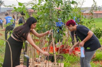 Parceria entre Secretaria do Meio Ambiente e Senac promove plantio de mais de 250 mudas de árvores na Estação Cidadania, em Itapetininga