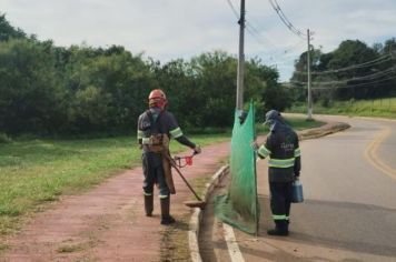 Marginal dos Cavalos recebe serviços de roçada e limpeza