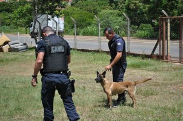 Guarda Municipal de Itapetininga faz demonstração com cão treinado e realiza palestra para crianças do Programa Bombeiros Voluntários Mirins