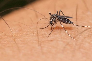 Itapetininga contra a Dengue e a prevenção é intensificada todos os dias