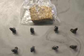 Guarda Municipal age no combate ao tráfico de drogas na vila Mazzei