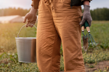 Itapetininga fecha primeiro semestre com saldo positivo de empregos formais e destaque no setor de serviços