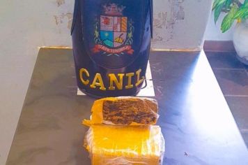 GCM de Itapetininga prende suspeito com tijolo de maconha na vila Belo Horizonte